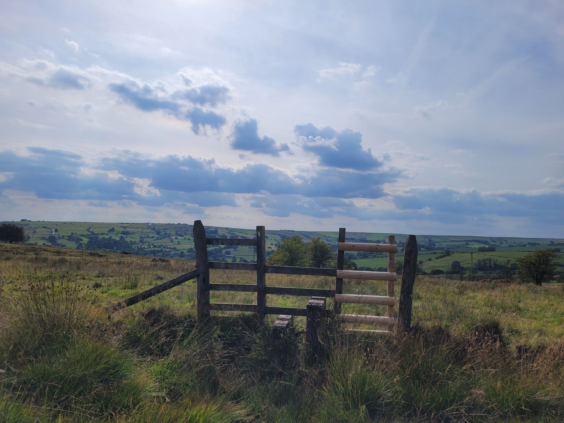 Grindon Moor